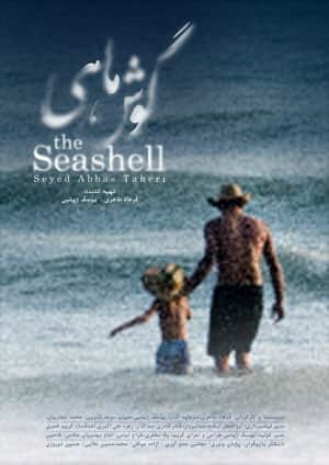 The Seashell