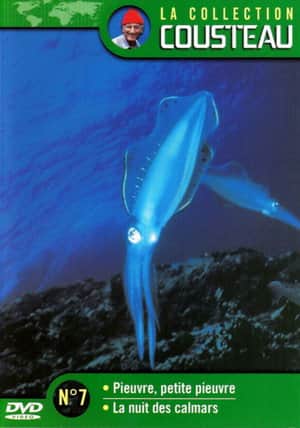 The Cousteau Collection N°7-1 | Octopus, Little Octopus