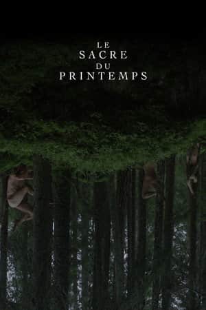 Le Sacre Du Printemps (Tandvarkstallen)