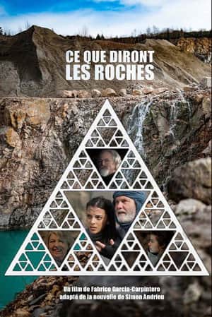 Ce que diront les roches