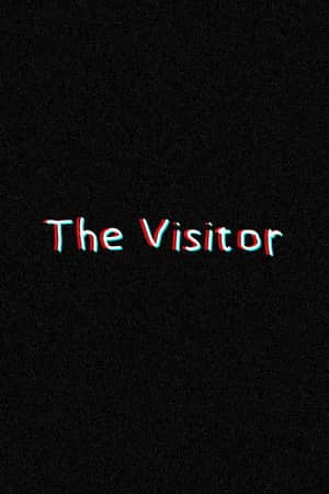 The Visitor