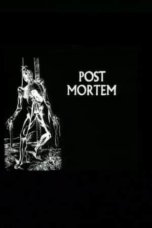 Post Mortem