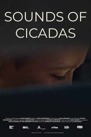 Sounds of Cicadas
