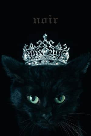 Aimer: Best Selection "noir" (Limited Edition Bonus)