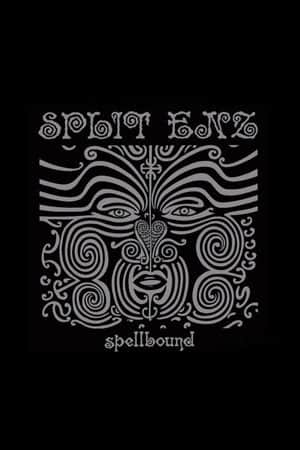 Split Enz: Spellbound
