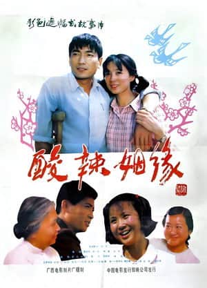 酸辣姻缘