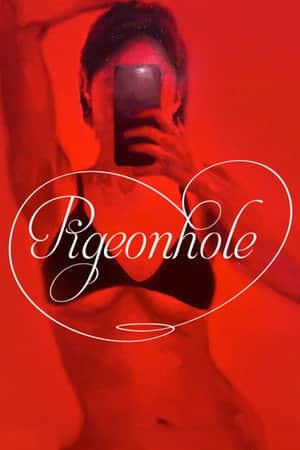 pigeonhole