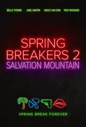 Spring Breakers: Salvation Mountain
