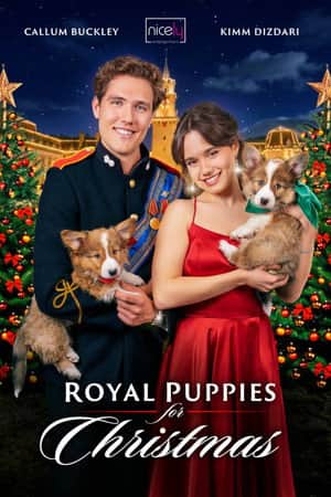 Royal Puppies for Christmas