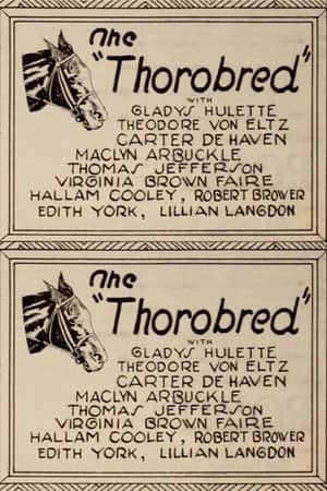 The Thoroughbred