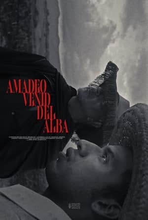 Amadeo Venid del Alba