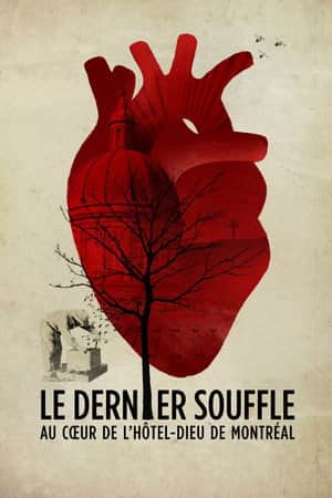 Le dernier souffle, au cœur de l'Hôtel-Dieu de Montréal