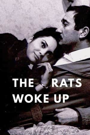 The Rats Woke Up