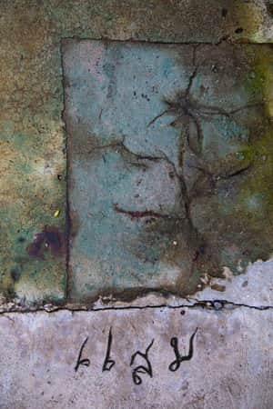 Habitare
