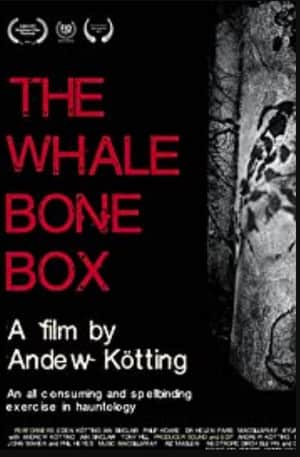The Whalebone Box