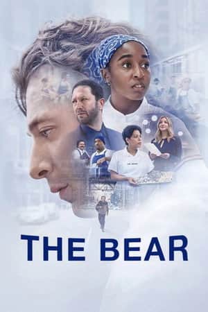 The Bear