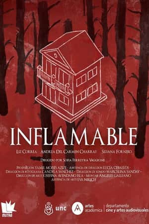 Inflamable