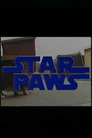 Star Paws
