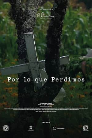 Por lo que Perdimos