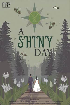 A Shiny Day