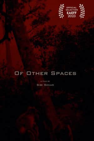 Of Other Spaces