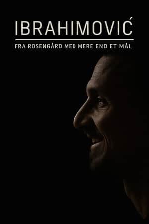 Ibrahimovic - Från Rosengård med mer än ett mål