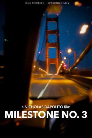 Milestone No. 3