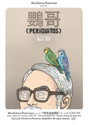 Parakeets