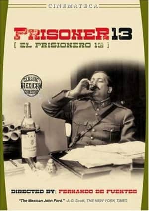 Prisoner 13