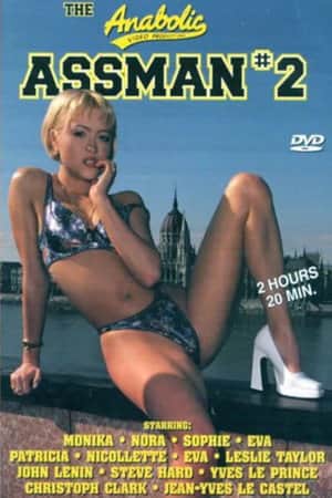Assman 2