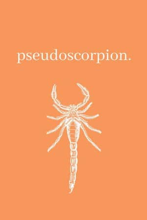 Pseudoscorpion
