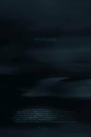 Myosotis