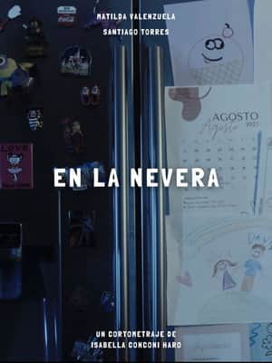 Inside the fridge