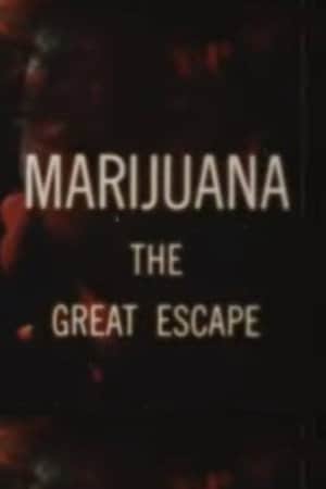 Marijuana The Great Escape
