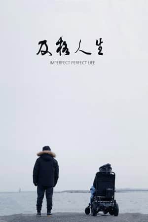 Imperfect Perfect Life