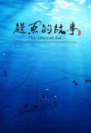 鳗鱼的故事