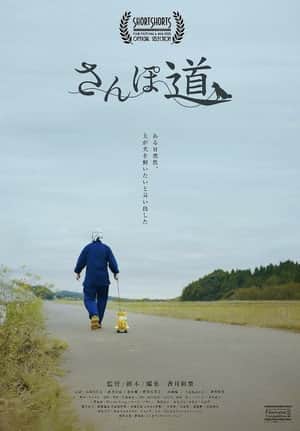A Walk with You