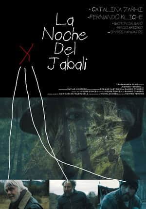 The Night Of The Wild Boar