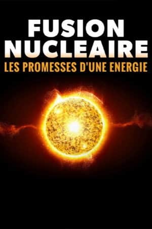 Nuclear Fusion: The Promise of a New Energy Source