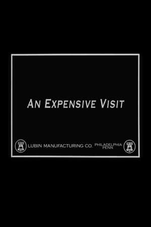 An Expensive Visit
