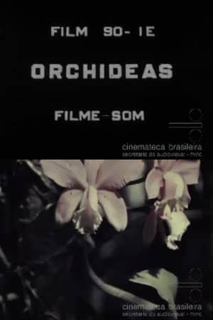 Orchids