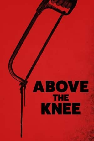 Above the Knee