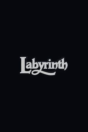 Labyrinth 2