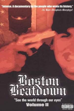 Boston Beatdown: See the World Through Our Eyes