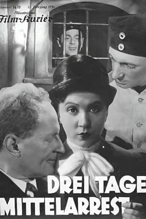 Three Days in the Guardhouse