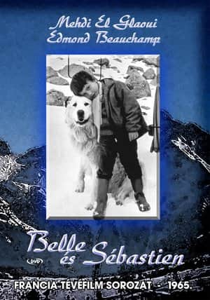 Belle and Sebastian