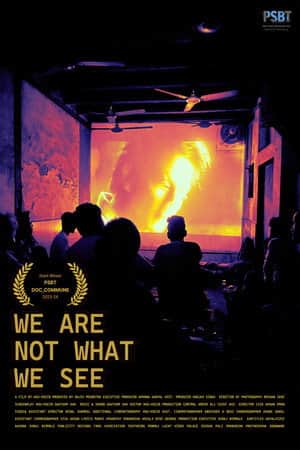 We Are Not What We See