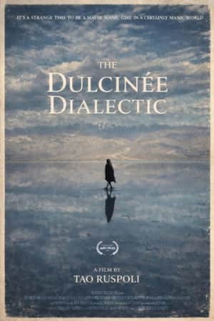 The Dulcinée Dialectic