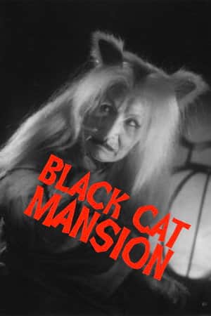 Black Cat Mansion