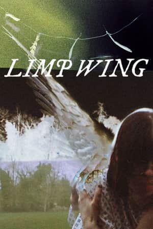 Limp Wing